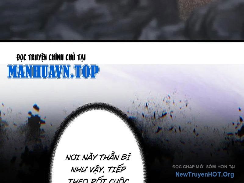 Gặp Mạnh Thì Càng Mạnh, Tu Vi Của Ta Không Giới Hạn Chương 70 Ảnh 181